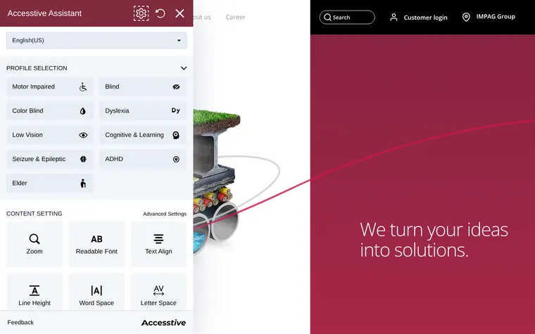 IMPAG homepage with the Accessibility Widget open