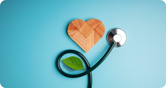 Gesundheit & Wellness Gesundheit & Wellness